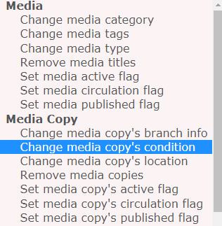 Bulk Actions change media copys condition