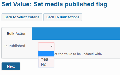 Bulk Actions set media published flag