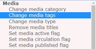 Bulk Actions change media tags