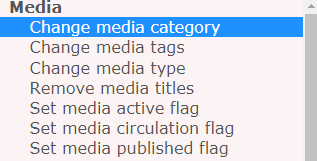 Bulk Actions select media type